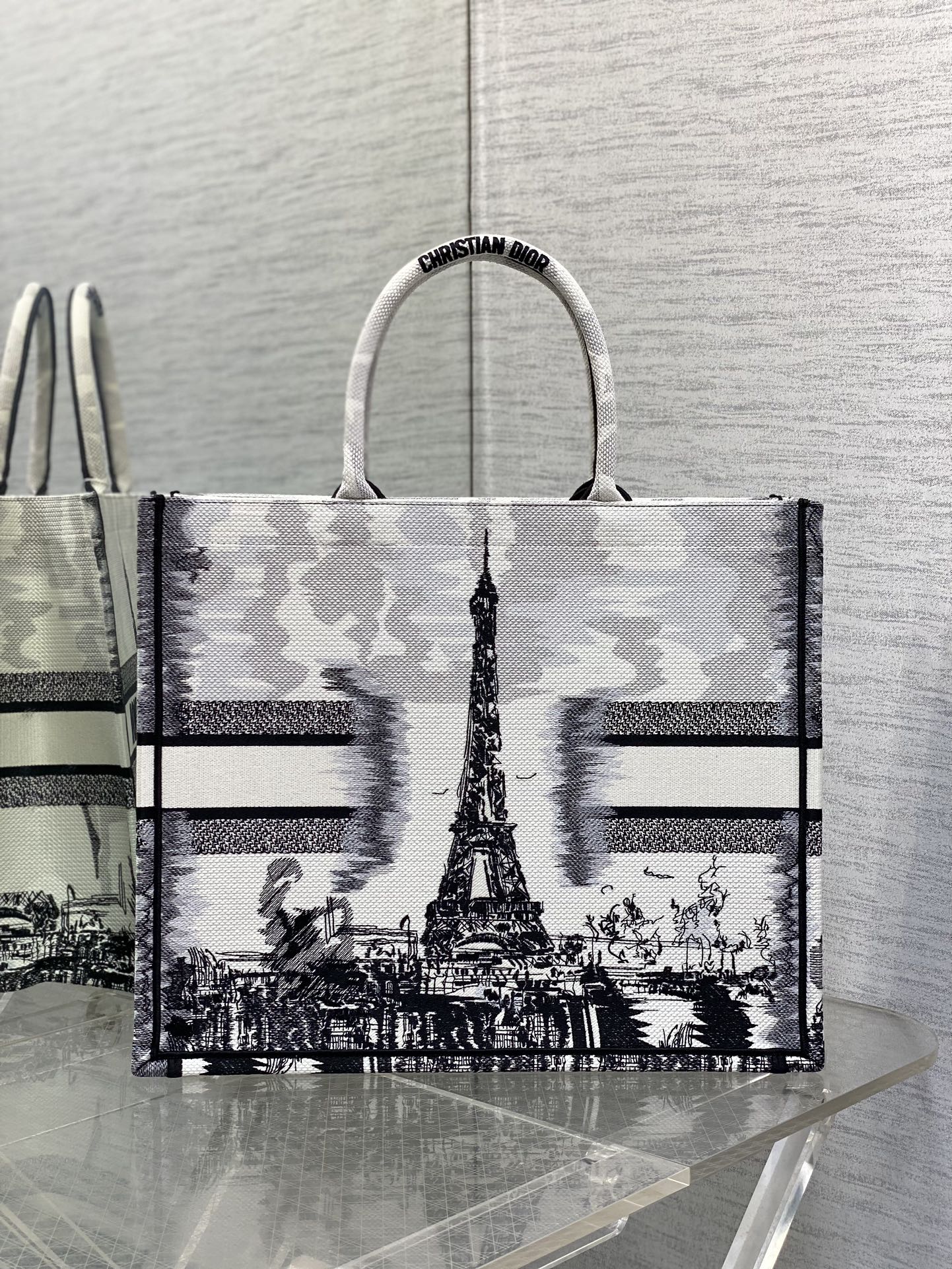 Large Dior Book Tote Bag White and Black Paris Embroidery